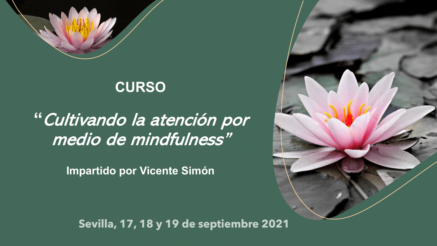 curso septiembre mindfulness